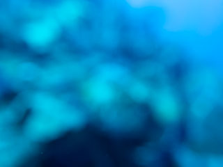 DL_20191219_DSC190045.jpg