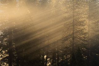 DL_20141123_DSC1626-Yosemite.jpg