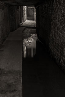 DL_20190816_DSC3297-venice.jpg