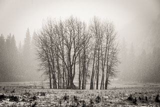 DL_20151115_DSC1735-Yosemite-Snow_v1.jpg