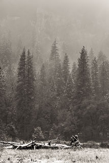 DL_20151115_DSC1765-Yosemite-Snow.jpg