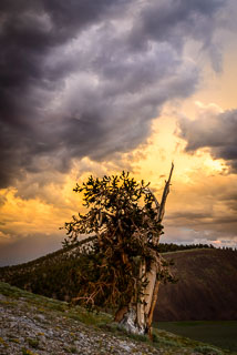 DL_20160630_DSC0694.jpg