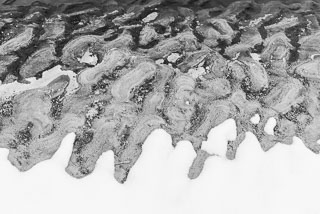 DL_20161226_DSC5357.jpg