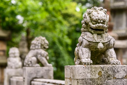 DL_20140420_DSC4868_Guiyang_China_Qianling_Park.jpg
