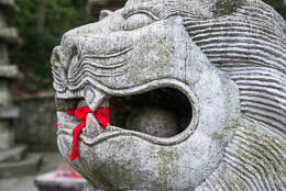 DL_20140420_DSC4880_Guiyang_China_Qianling_Park.jpg