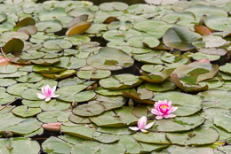 DL_20140420_DSC5045_Guiyang_China_Qianling_Park.jpg