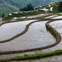 Jia Ju Cun