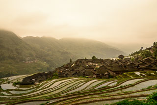 DL_20140426_DSC7172_v1.jpg