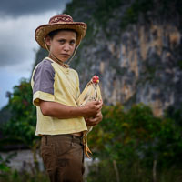 Vinales