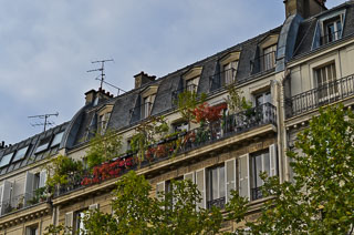 DL_20110828_DSC5516.jpg