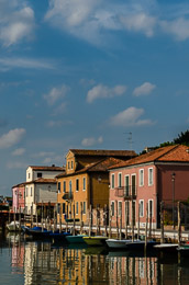 DL_20110815_DSC3372.jpg