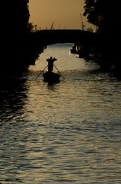 DL_20110811_DSC2520.jpg