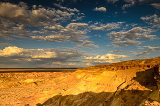 DL_20120712_DSC5468_v1.jpg