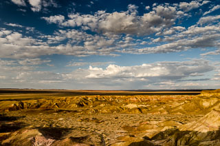 DL_20120712_DSC5471_v1.jpg