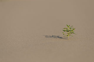 Mongolia_DL_20120710_DSC5363.jpg
