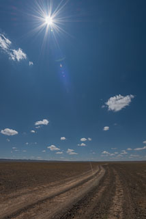 Mongolia_DL_20120710_DSC5789.jpg