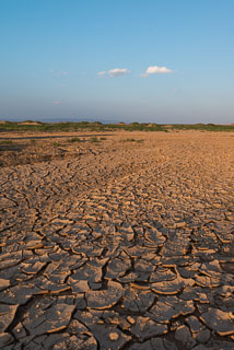 Mongolia_DL_20120710_DSC5890.jpg