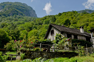 DL_20110819_DSC3986.jpg
