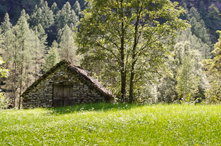 DL_20110820_DSC4126.jpg