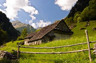 DL_20110820_DSC4127.jpg