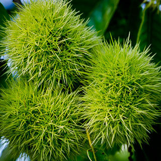 DL_20110830_DSC5807_v1.jpg