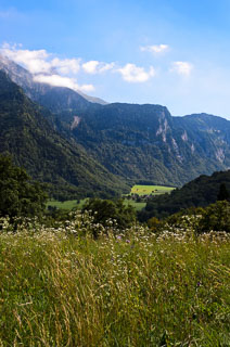DL_20110830_DSC5816_v1.jpg