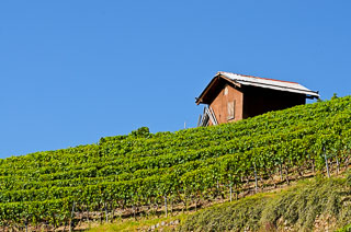 DL_20110830_DSC5880_v1.jpg