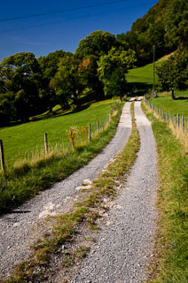 DL_20110830_DSC5911_v1.jpg