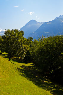 DL_20110830_DSC5919_v1.jpg