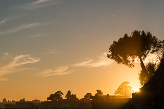 DL_20140119_DSC3034_capitola.jpg