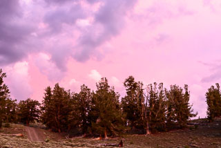 DL_20160630_DSC0718-Eastern-Sierra-White-Mountains_v1.jpg
