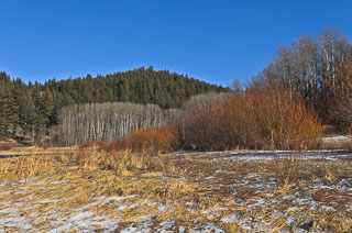 DL_20120116_DSC2443.jpg
