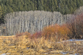 DL_20120116_DSC2445.jpg