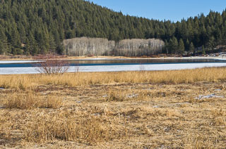DL_20120116_DSC2483.jpg