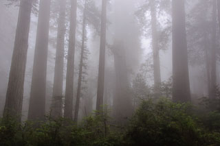 20090523-_DSC4200.jpg