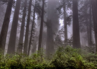 20090523-_DSC4200_1_2.jpg
