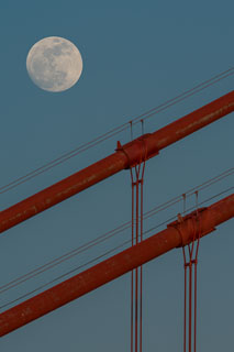 DL_20120504_DSC0238-2.jpg