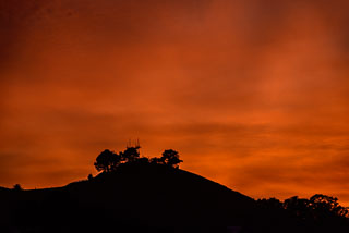 Bernal_Heights_DL_20130201_DSC5949.jpg