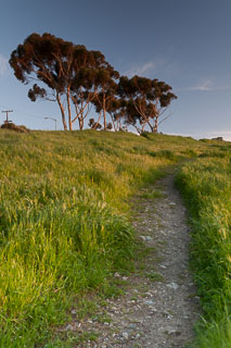DL_20110328_DSC7856.jpg