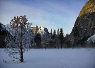20090220-_DSC1284_v1.jpg