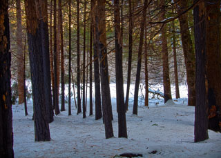 20090220-_DSC1314.jpg