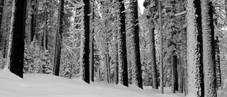 20100227_DSC2981_v1.jpg