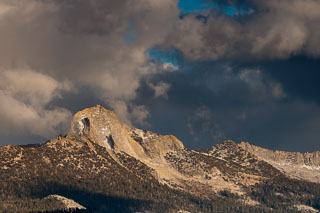 DL_20101107_DSC3725.jpg