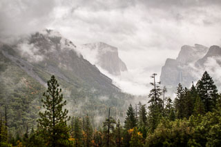 DL_20101108_DSC3801_2_3hdr.jpg