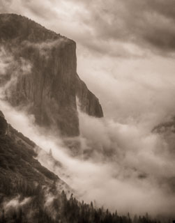 DL_20101108_DSC3804_5_6hdr.jpg