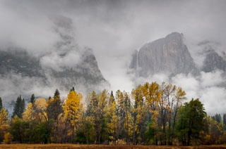DL_20101108_DSC3811_2_3.jpg