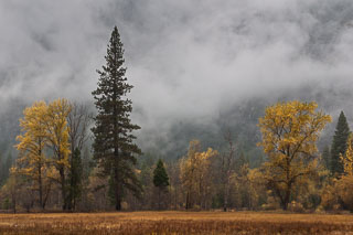 DL_20101108_DSC3818_v1.jpg