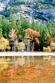 DL_20101113_DSC3917_8_9hdr.jpg