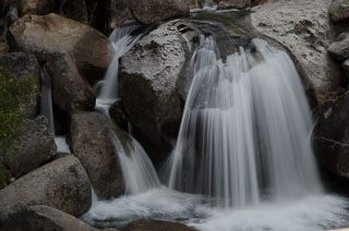 DL_20120408_DSC3971.jpg
