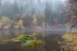 DL_20161029_DSC3316-Yosemite.jpg